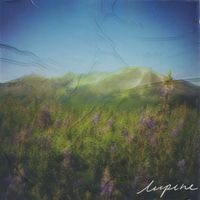 Esie - Lupine