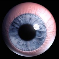 Devault - Sensation (Explicit)