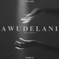 Pulse - Awudelani