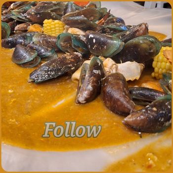 Follow - Enjoy