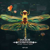 Inner Cosmos - Open Your Mind