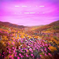 RL Grime - NOVA Pure