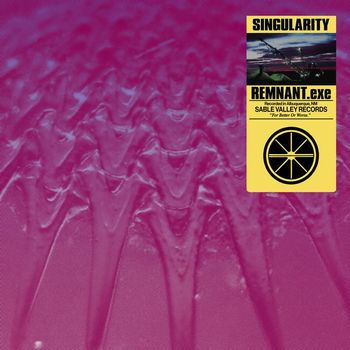 REMNANT.exe - Singularity