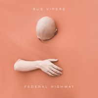 Bus Vipers - Federal Highway