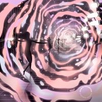 World Champion - Avocado Galaxy