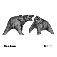Seekae - The Sound Of Trees Falling On People