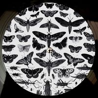 Bodhi - Imperfection / No More