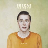 Seekae - The Worry (Remixes)