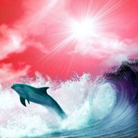 Wave Racer - Rock U Tonite / Stoopid