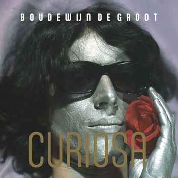 Boudewijn de Groot - Curiosa