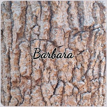Barbara - Sunset Days