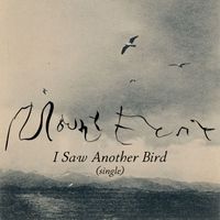 Mount Eerie - I Saw Another Bird