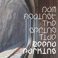 Zeena Parkins - Dam Against the Spring Tide