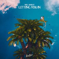 Will Knight - Letting You In
