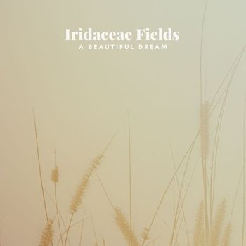 Iridaceae Fields - A Beautiful Dream