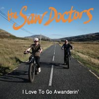 The Saw Doctors - I Love To Go Awanderin'