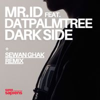 Mr. ID - Dark Side