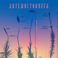 Artemoltobuffa - Stanotte / Stamattina (2024 Remastered Version)