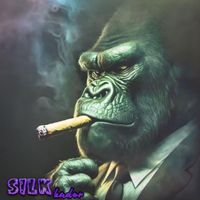 Silk - Bador