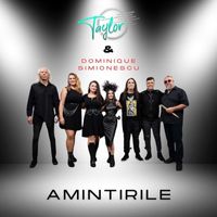 Taylor - Amintirile (feat. Dominique Simionescu)