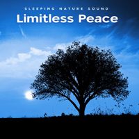 Sleeping Nature Sound - Limitless Peace