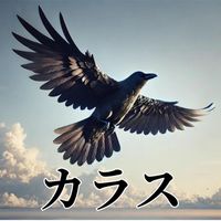 aika - カラス