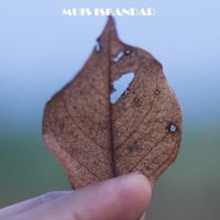 aber - kembali bersamaku