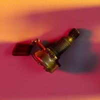 Die Jugend von Gestern - Im Weißen Haus