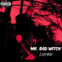 LadyBoy - Mr. Bad Witch (Explicit)