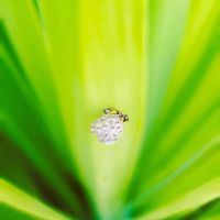 Stranded - Embracing The Inevitable