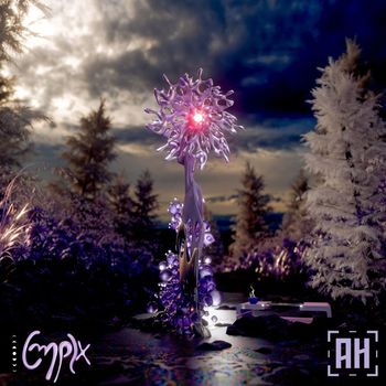 Cmplx - ginger tea