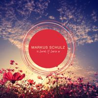 Markus Schulz - In Search Of Sunrise 20