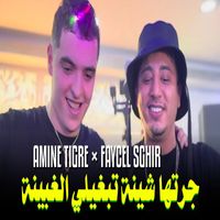 Amine Tigre - جرتها شينة تبغيلي لغبينة
