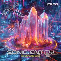 Sonic Entity - Exposed