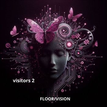 Various Artists - VA. VISITORS 2