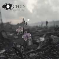 Orchid - The Maverick