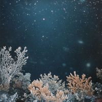 Ikiro - Winter Air