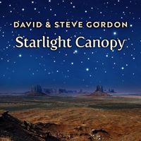 David & Steve Gordon - Starlight Canopy