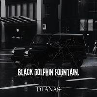 DJ ANAS - Black Dolphin Fountain