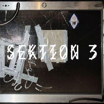Various Artists - Sektion 3