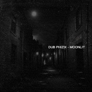 Dub Phizix - Moonlit