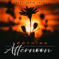 Salsa Latin 100% - Soothing Afternoon
