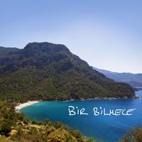 Kirpi - Bir Bilmece