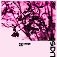 NightMnlght - Detail