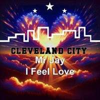 Mr Jay - I Feel Love