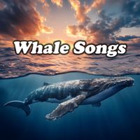 Whale Song - Whale Songs