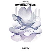 Mario Più - Techno Harmony (David Bean Remix)