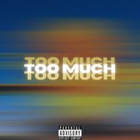 S.I.N. - Too Much (Explicit)