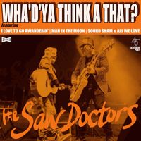 The Saw Doctors - WHA'D'YA THINK A THAT?