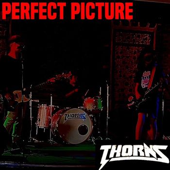 Thorns - Perfect Picture